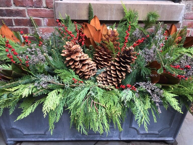 winter window box