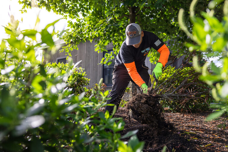 Fall Cleanup Checklist: 5 Things Homeowners Need to Know Before Winter