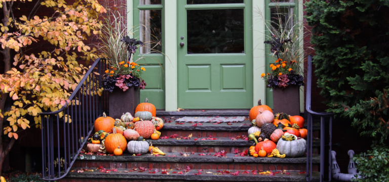 Planter Pointers: 10 Expert Tips for Beautiful Front Porch Containers